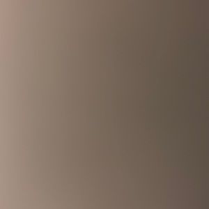 Meet your Posher, Cami